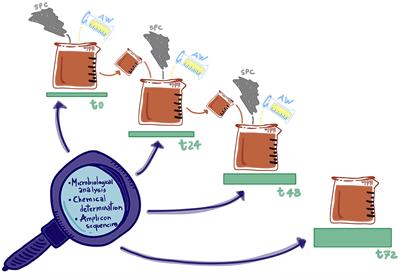 Sustainability of food side streams: a case study of fermented blends made with sour whey and sunflower press cake powder using the back-slopping technique